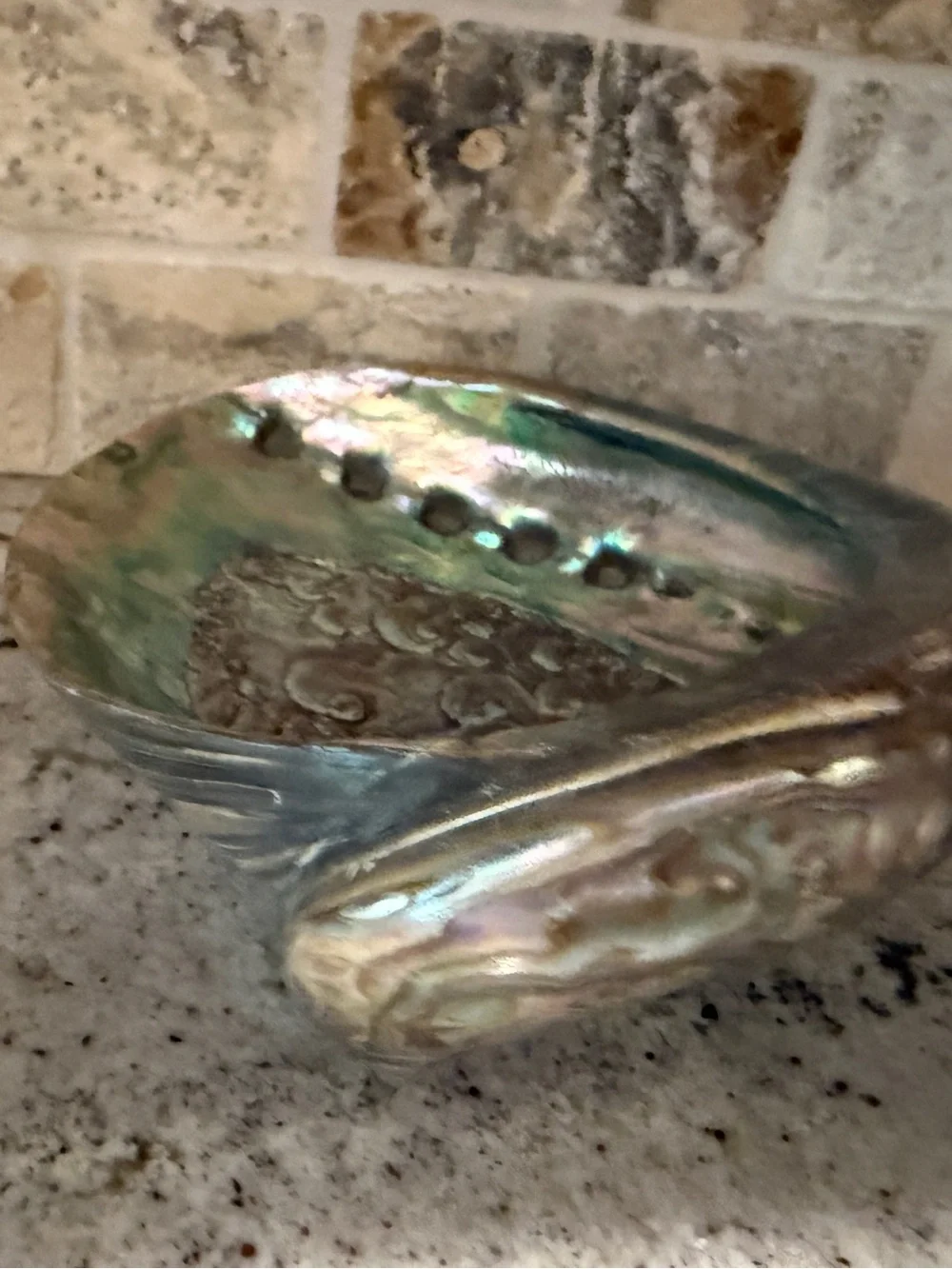 Large Iridescent Abalone Shell Bowl